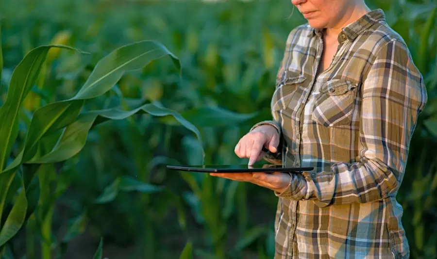 How to an Agronomist