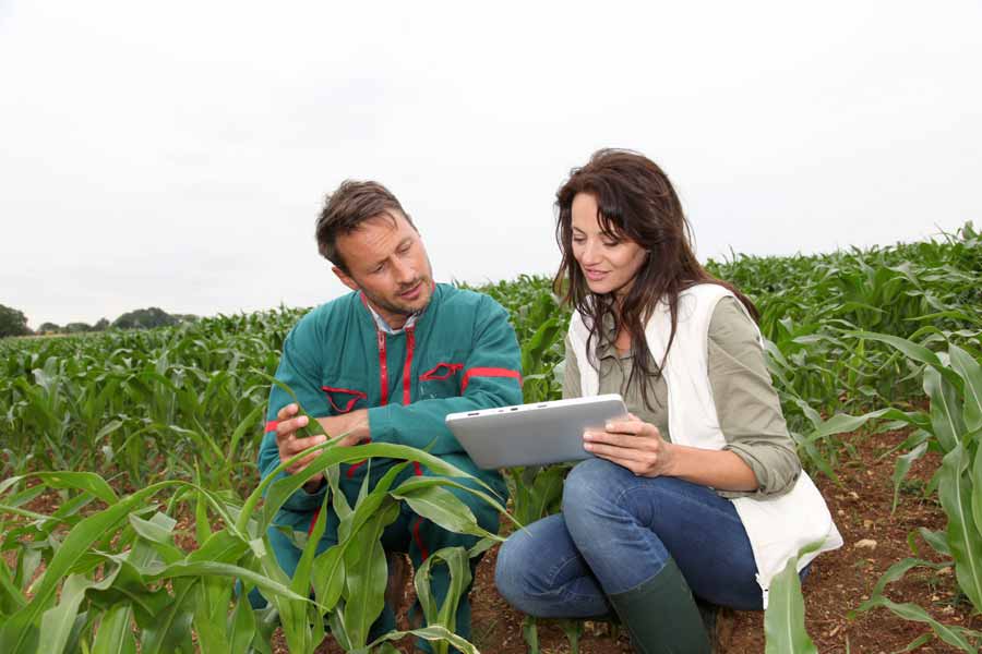 How to an Agricultural Engineer Degrees & Careers