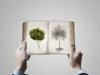 Introduction to Botany