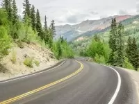 The Environmental Impact of Roads