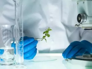 How to Become a Biochemist How to Become a Biochemist