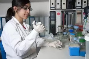 How to Become an Environmental Laboratory Technician |  