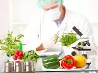 Future of Agriculture: Facts About GM Crops and Biotech
