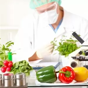 Future of Agriculture: Facts About GM Crops and Biotech