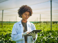 Agricultural scientist monitoring crop data on tablet in greenhouse research facility, wearing lab coat and protective gloves