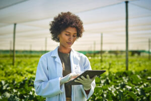 Agricultural scientist monitoring crop data on tablet in greenhouse research facility, wearing lab coat and protective gloves