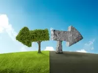 Is It Safe? Raising Environmental Questions