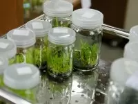 Environmental Biology & GIS