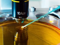 Environmental Microbiology & GIS