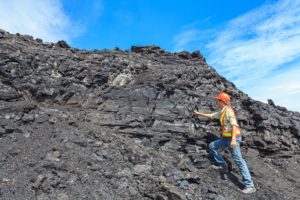 appointment letter geologist