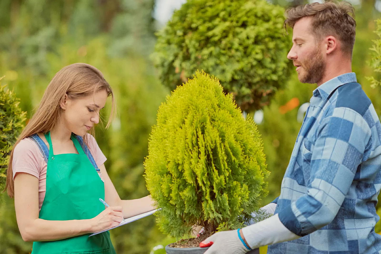 Horticulture jobs in power plant