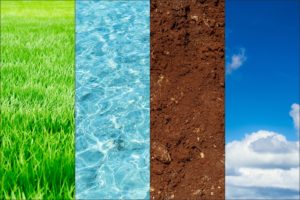 Ecologist conducting field research in a forested ecosystem, illustrating applied ecology in practice