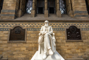 Charles Darwin, whose theory of evolution transformed scientific disciplines including modern archaeology