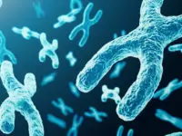 Microbiology: Tiniest Lifeforms Under the Microscope