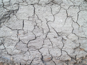 Cracked dry earth showing drought effects from climate change patterns studied by climatologists and environmental scientists