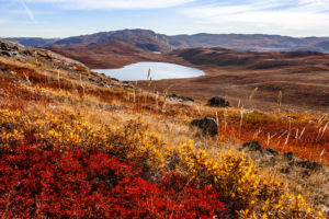 Arctic tundra landscape with fall foliage and glacial lake studied by climatologists researching climate change impacts