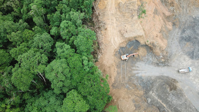 Conservation: History and Future - EnvironmentalScience.org