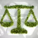 Environmental Law: Government and Public Policy Towards the Environment