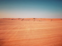 Deserts as Ecosystems and Why They Need Protecting