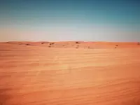 Deserts as Ecosystems and Why They Need Protecting