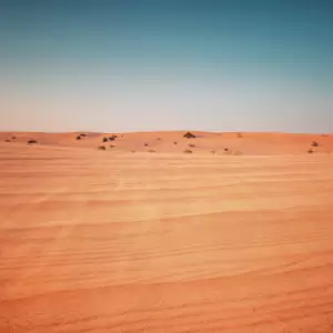 Deserts as Ecosystems: Why They Need Protecting Deserts as Ecosystems: Why They Need Protecting