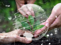 The Role of AI in Tackling Climate Change