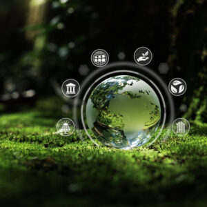 The Role of Artificial Intelligence in Environmental Sustainability