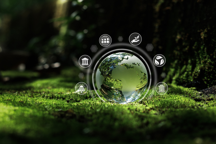 ai in environmental sustainability